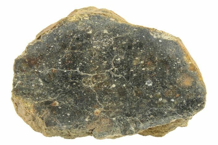 Polished Howardite Meteorite Section ( g) - Bechar #286949